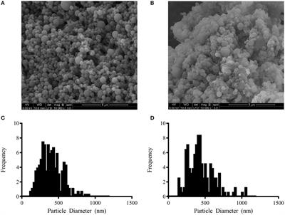 Room Temperature Stable PspA-Based Nanovaccine Induces Protective Immunity